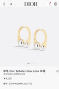 Dior Gold Silver Hoop Earrings - Dior Gold & Silver Tribales Hoop