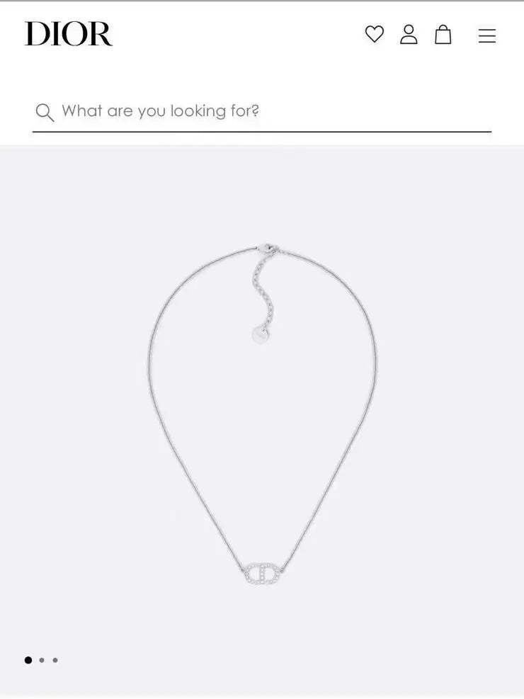 Dior Silver CD Crystal Necklace - Delicate Chain