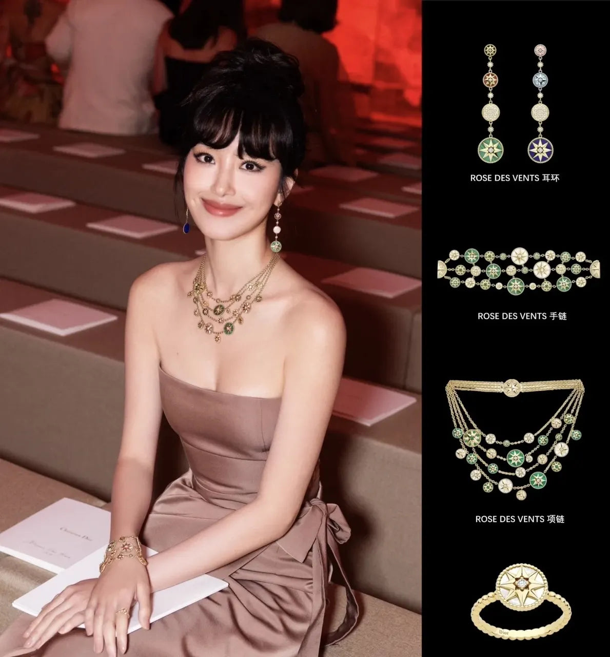 Dior Rose des Vents Diamond Necklace - Gold & Multicolor